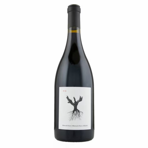 Psi, Bodegas y Viñedos Alnardo, Ribera del Duero, Spain 2022
